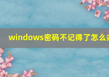 windows密码不记得了怎么办