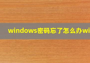 windows密码忘了怎么办win10