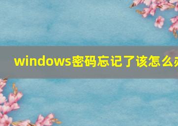 windows密码忘记了该怎么办