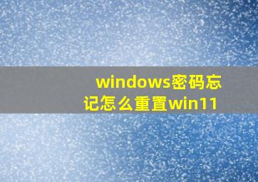 windows密码忘记怎么重置win11