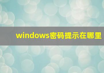 windows密码提示在哪里