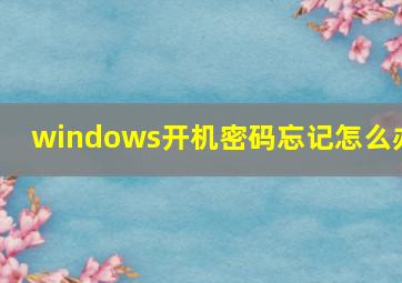 windows开机密码忘记怎么办