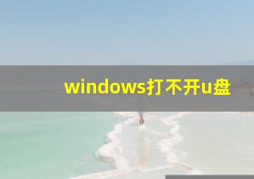 windows打不开u盘