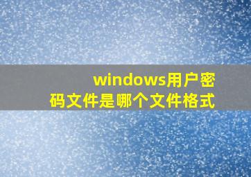 windows用户密码文件是哪个文件格式