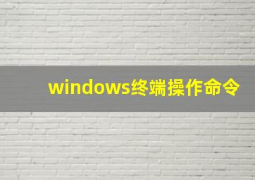 windows终端操作命令