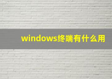 windows终端有什么用