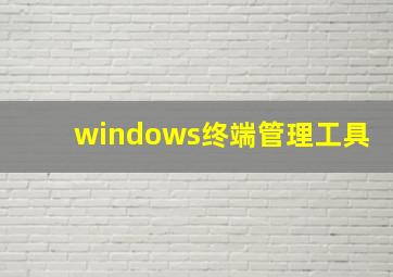 windows终端管理工具