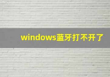 windows蓝牙打不开了