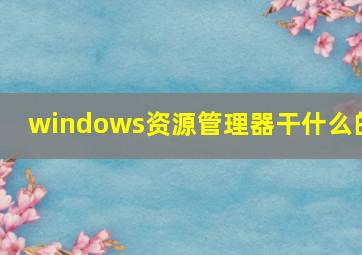 windows资源管理器干什么的