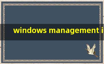 windows management instrumentation占用高