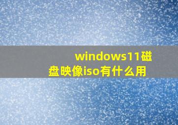 windows11磁盘映像iso有什么用