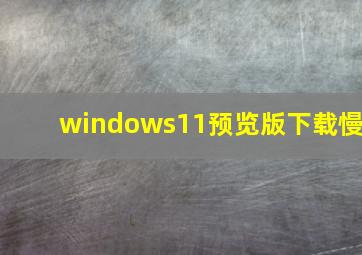 windows11预览版下载慢