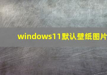 windows11默认壁纸图片