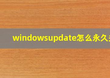 windowsupdate怎么永久关闭