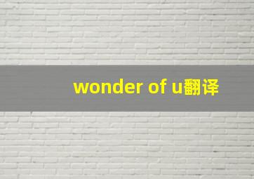 wonder of u翻译