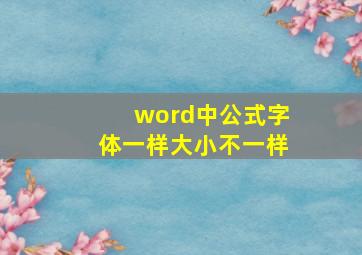 word中公式字体一样大小不一样