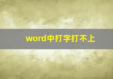 word中打字打不上