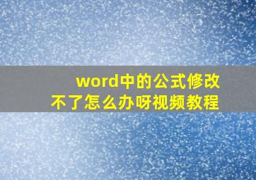 word中的公式修改不了怎么办呀视频教程