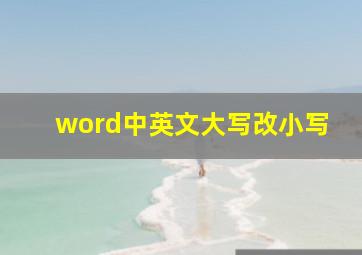 word中英文大写改小写