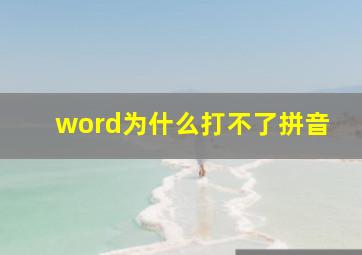 word为什么打不了拼音