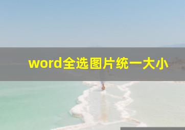 word全选图片统一大小