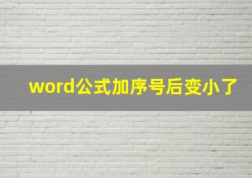 word公式加序号后变小了