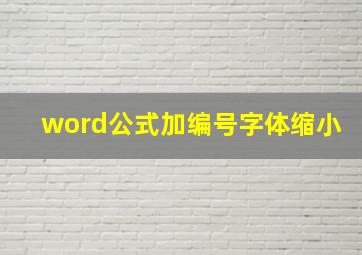 word公式加编号字体缩小