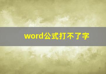 word公式打不了字