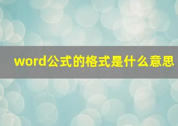 word公式的格式是什么意思