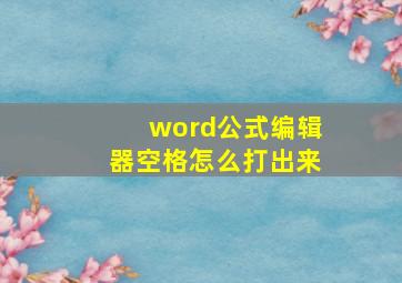 word公式编辑器空格怎么打出来