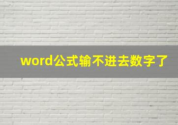 word公式输不进去数字了