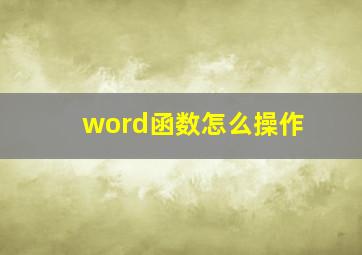 word函数怎么操作