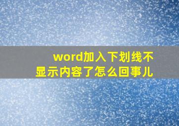 word加入下划线不显示内容了怎么回事儿