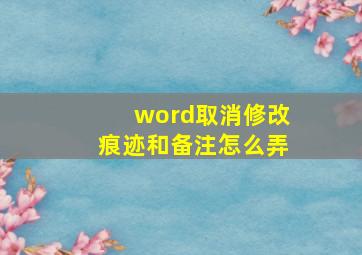 word取消修改痕迹和备注怎么弄