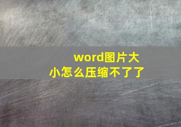 word图片大小怎么压缩不了了