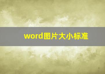 word图片大小标准