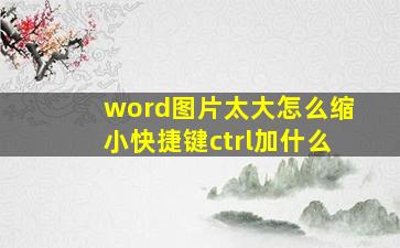 word图片太大怎么缩小快捷键ctrl加什么