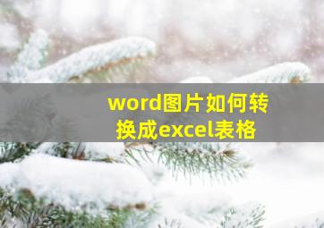 word图片如何转换成excel表格