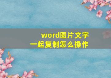 word图片文字一起复制怎么操作