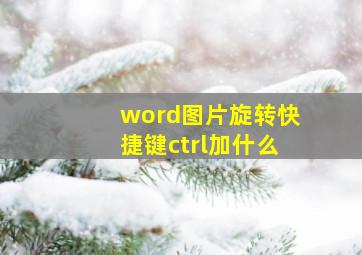 word图片旋转快捷键ctrl加什么