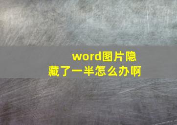 word图片隐藏了一半怎么办啊