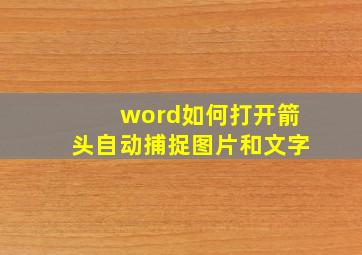 word如何打开箭头自动捕捉图片和文字