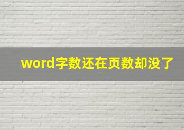 word字数还在页数却没了