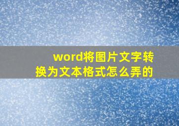 word将图片文字转换为文本格式怎么弄的