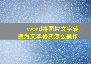 word将图片文字转换为文本格式怎么操作