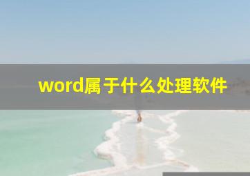 word属于什么处理软件