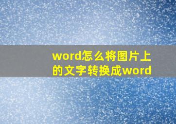 word怎么将图片上的文字转换成word