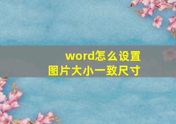 word怎么设置图片大小一致尺寸