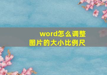 word怎么调整图片的大小比例尺