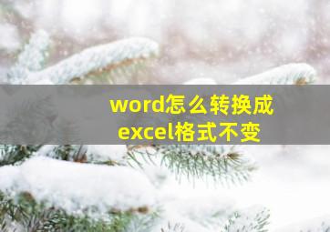 word怎么转换成excel格式不变